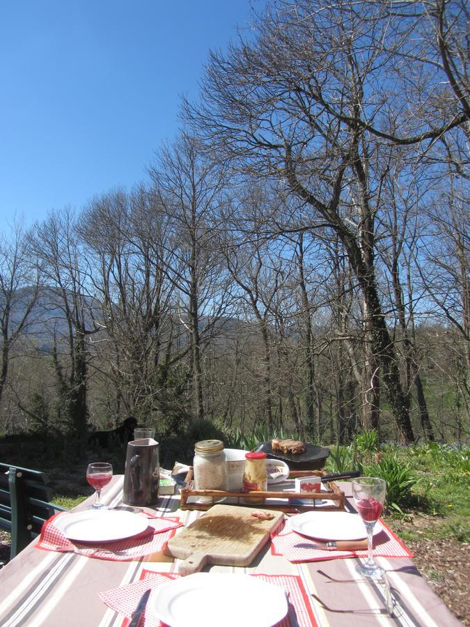 Les cimes - Le gîte Saint-Pierre-de-Rivière Extérieur photo